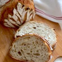 Sourdough whole-wheat loaf 